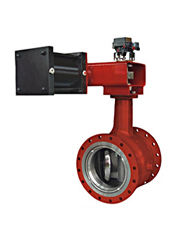 Eccentric Rotary Control Valve